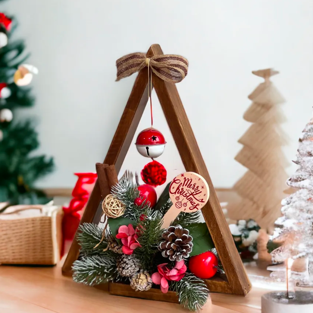 Christmas Airplant Frame DIY Kit
