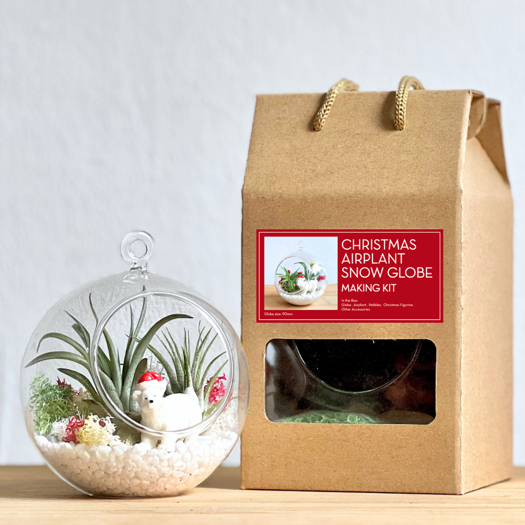 Christmas Globe DIY Kit
