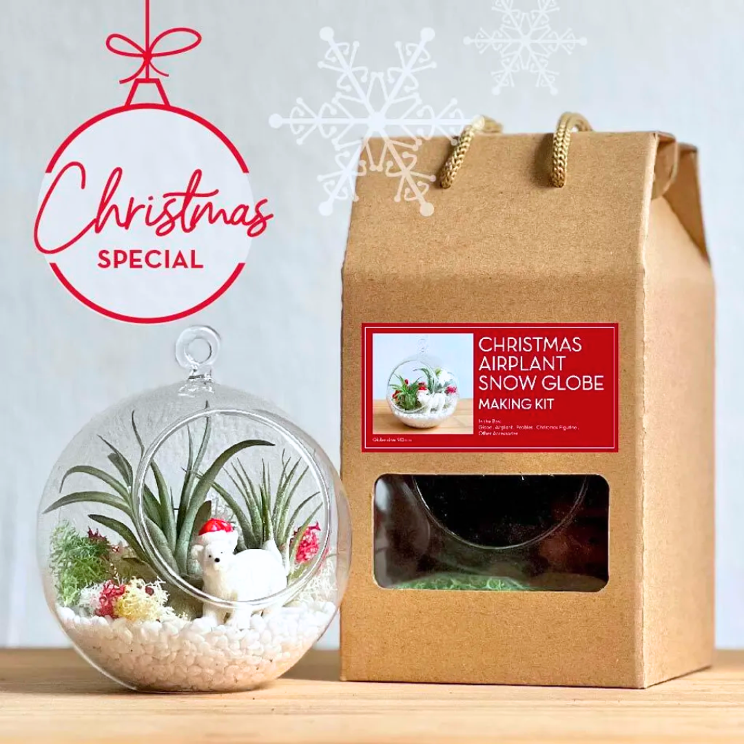 Christmas Globe DIY Kit
