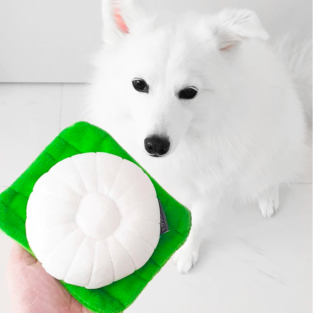 NOM - Squeakie Chew Toy - Tutu Kueh