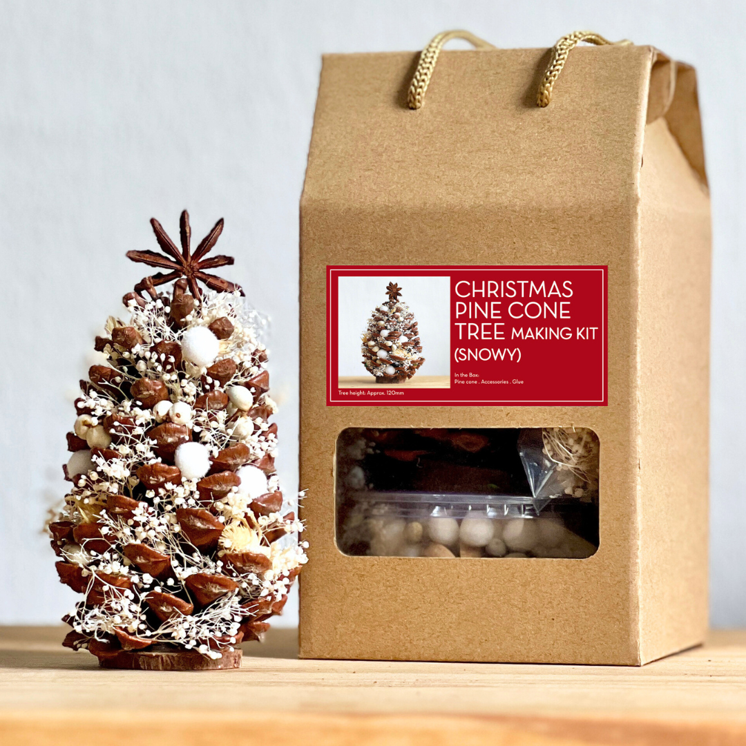 Snowy Pine Cone DIY Kit