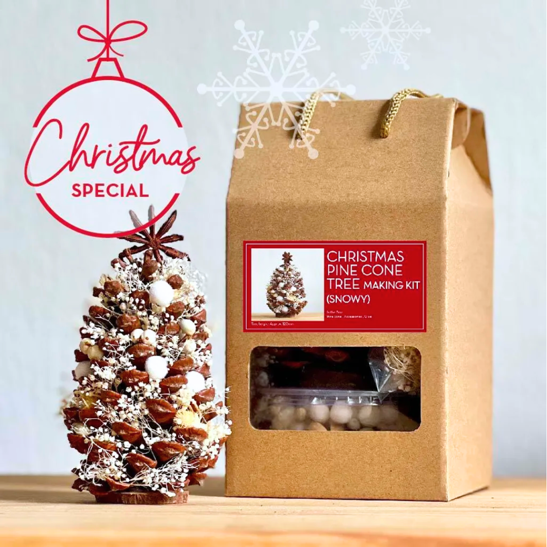 Snowy Pine Cone DIY Kit