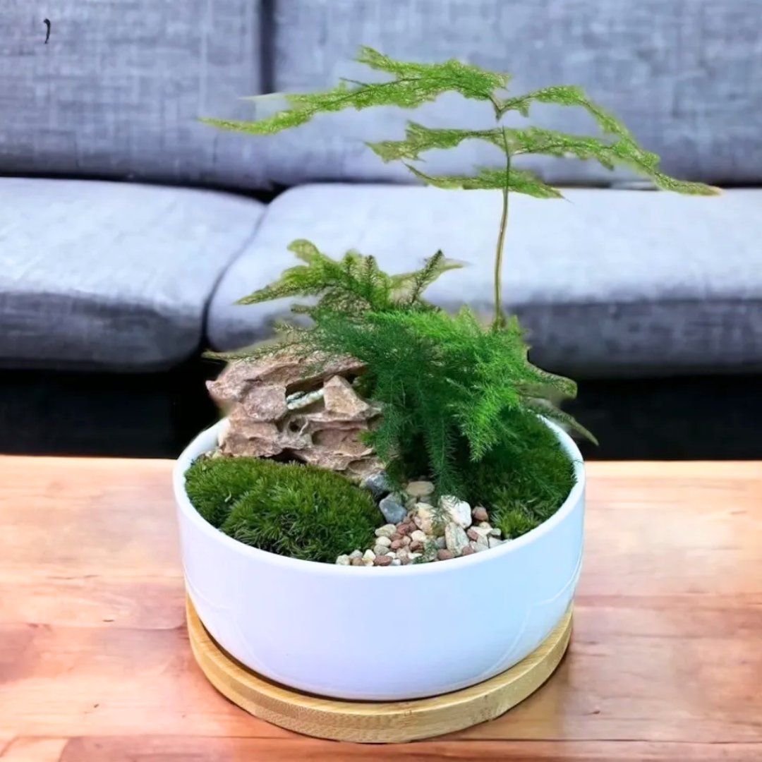 Zen Garden