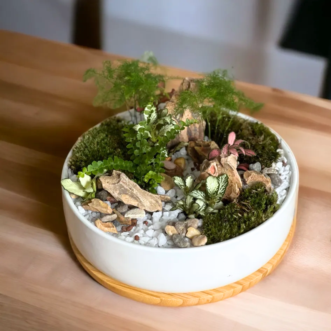 Zen Garden