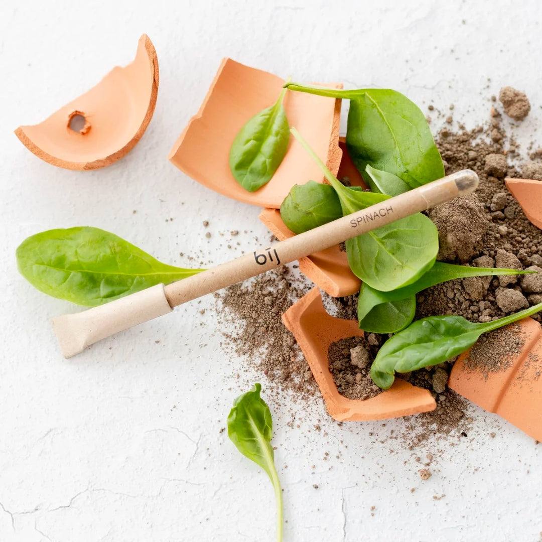 Left-handesign BIJ Plantable Pen - Spinach