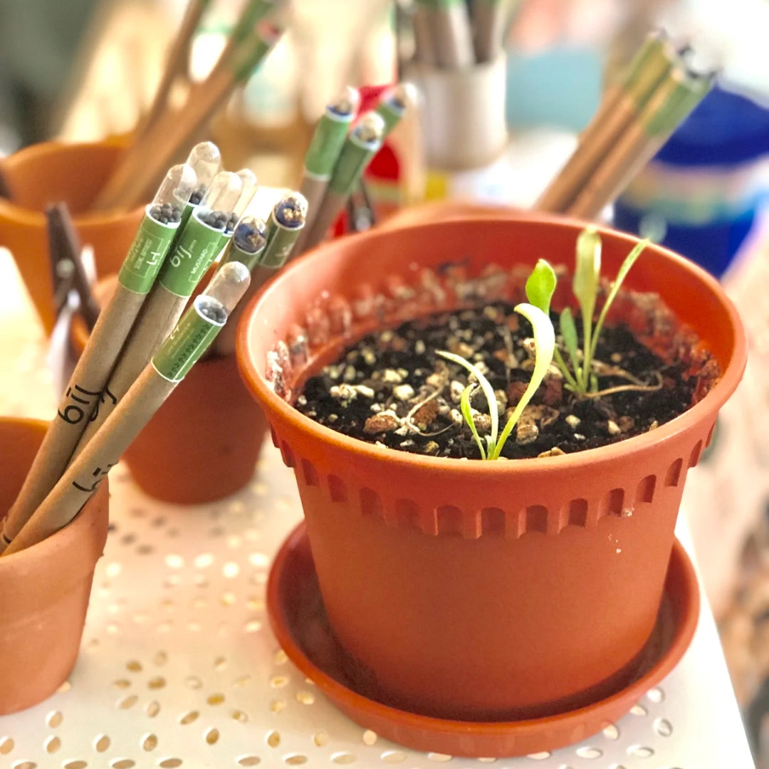Left-handesign BIJ Plantable Pen - Spinach