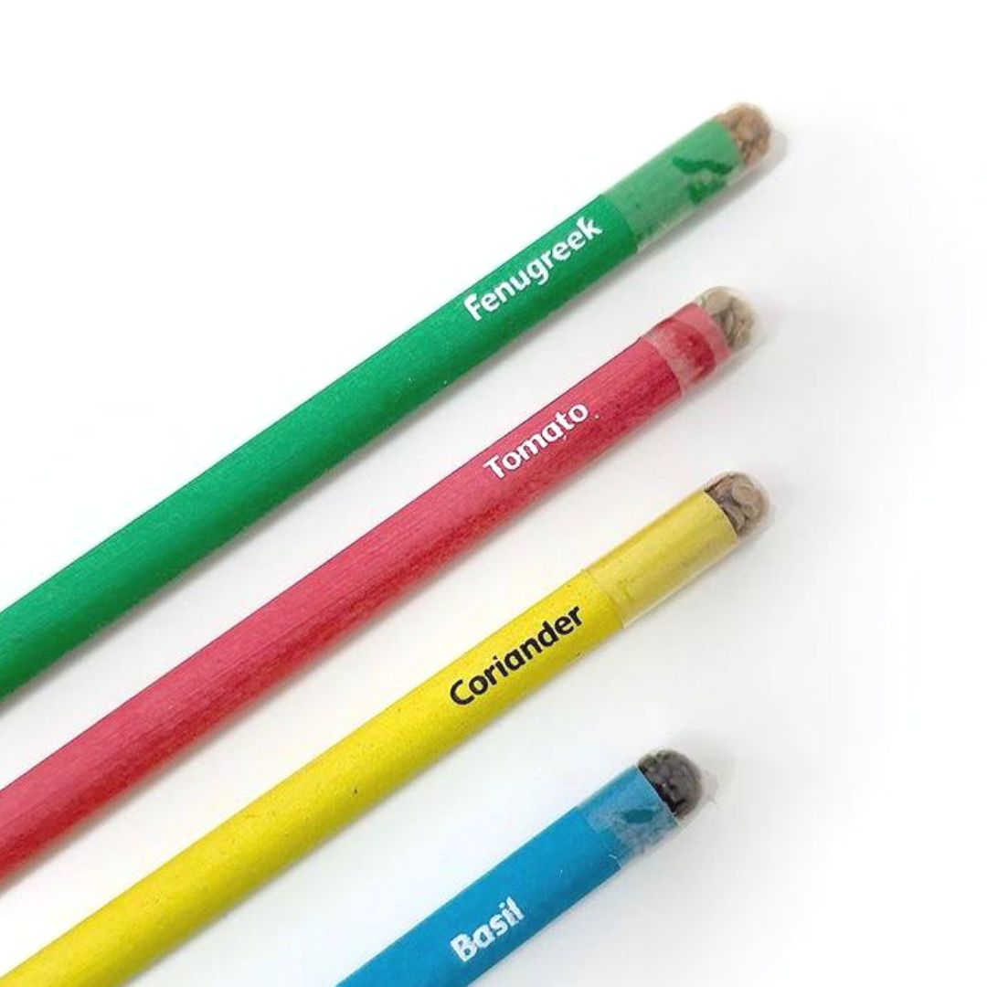 Purple & Pure - Plantable Seed Pencil (Single Pencil)