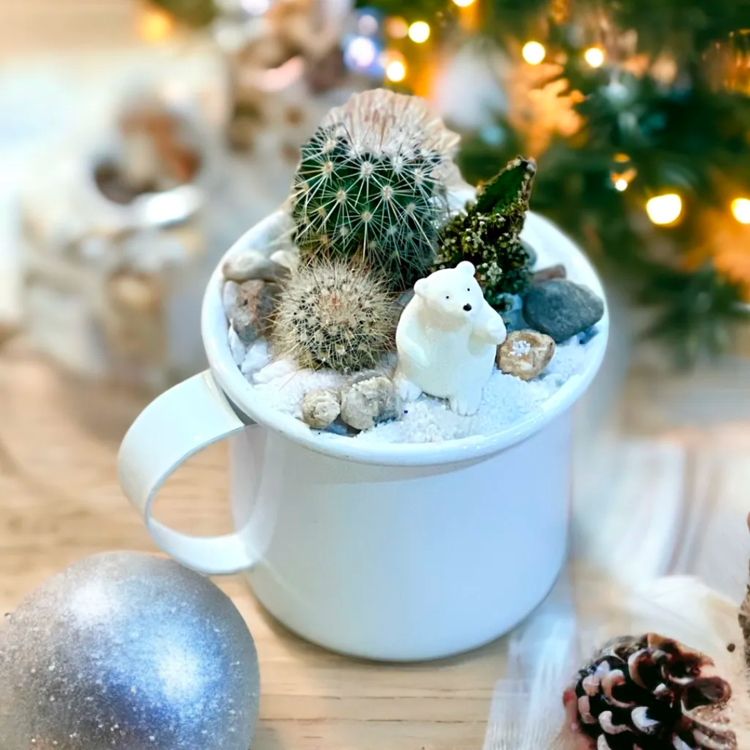 Snowy Cactus Cup