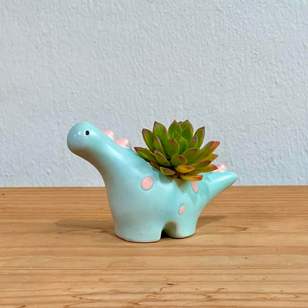 Petite Animal Succulent Pot - Dinosaur (Delivered by GiftGood+ Partner)