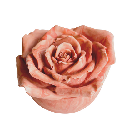 Brambe Rose Flower Pot Jewellery Box (Red & Pink)