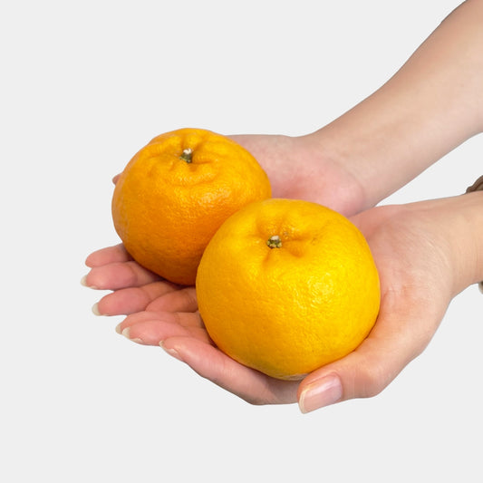 A Pair of Fresh Mandarin Oranges